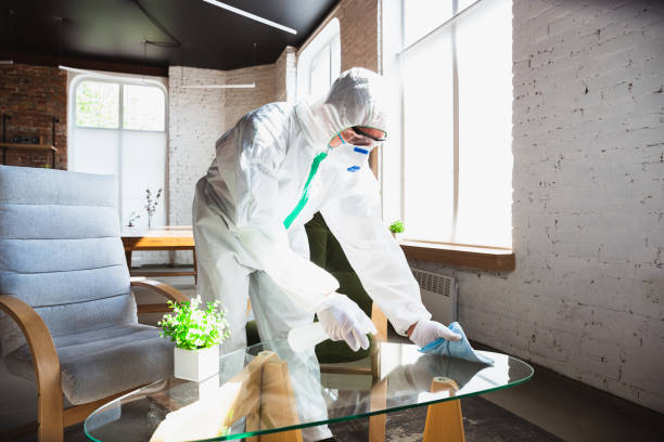 Why You Should Choose Our Mold Remediation Services in Five Points, OH