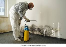 Mold Remediation for Vacation Homes in Five Points, OH